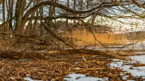 Zachód słońca nad jeziorem Kisajno, Piękna Góra, luty 2025 r. - zdjęcie 7