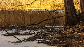 Zachód słońca nad jeziorem Kisajno, Piękna Góra, luty 2025 r. - zdjęcie 9