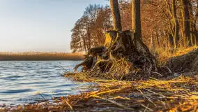 Zachód słońca nad jeziorem Mamry, Zwierzyniecki Róg, marzec 2025 r. - zdjęcie 10