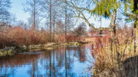 Przedwiośnie w Węgorzewie nad kanałem Młyńskim, marzec 2025 r. - zdjęcie 9