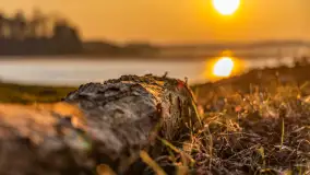 Zachód słońca na Fuledzie, jezioro Dobskie, marzec 2025 r. - zdjęcie 31