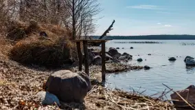 Półwysep Szeroki Ostrów, marzec 2025r. - zdjęcie 17