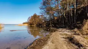 Półwysep Szeroki Ostrów, marzec 2025r. - zdjęcie 14