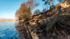 Półwysep Szeroki Ostrów, marzec 2025r. - zdjęcie 19