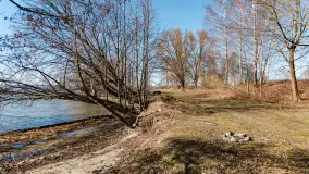 Półwysep Szeroki Ostrów, marzec 2025r. - zdjęcie 20