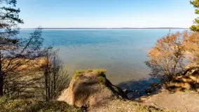 Półwysep Szeroki Ostrów, marzec 2025r. - zdjęcie 34