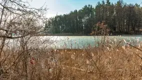 Plaża w Kleszczewie i jezioro Wojnowo, marzec 2025 r. - zdjęcie 29