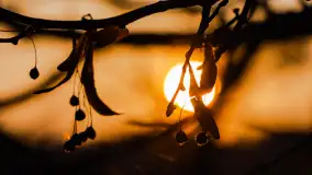 Zachód słońca w porcie Ognisty Ptak, marzec 2025r. - zdjęcie 14