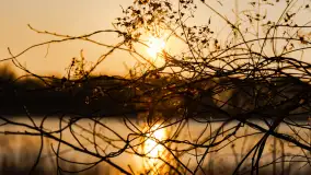 Zachód słońca w porcie Ognisty Ptak, marzec 2025r. - zdjęcie 20