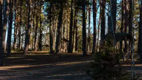 Pole biwakowe nad jeziorem Śniardwy. Okartowo, marze  2025r. - zdjęcie 24