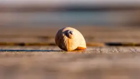 Zachód słońca nad Bindugą Zimny Kąt, marzec 2025r. - zdjęcie 10