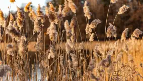 Zachód słońca nad Bindugą Zimny Kąt, marzec 2025r. - zdjęcie 21