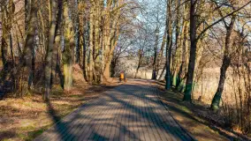 Słoneczny Ryn pod koniec marca - zdjęcie 36