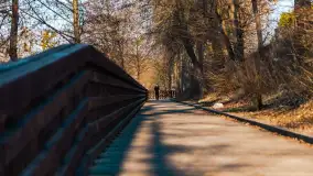 Słoneczny Ryn pod koniec marca - zdjęcie 32