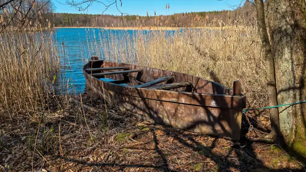 Rezerwat Przyrody Krutynia na wiosennych ujęciach, kwiecień 2025 r. - zdjęcie 2