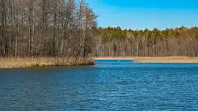 Rezerwat Przyrody Krutynia na wiosennych ujęciach, kwiecień 2025 r. - zdjęcie 16