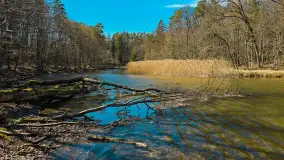 Rezerwat Przyrody Krutynia na wiosennych ujęciach, kwiecień 2025 r. - zdjęcie 9