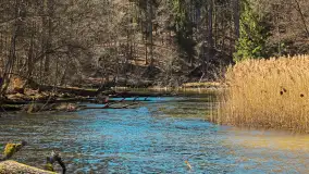 Rezerwat Przyrody Krutynia na wiosennych ujęciach, kwiecień 2025 r. - zdjęcie 14