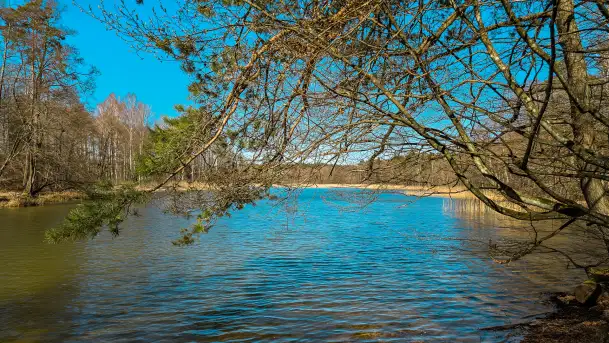 Rezerwat Przyrody Krutynia na wiosennych ujęciach, kwiecień 2025 r. - zdjęcie 4