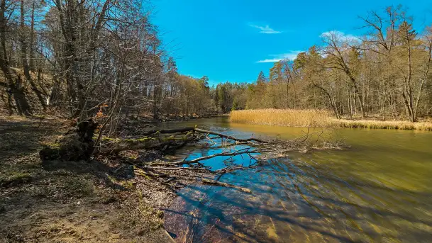 Rezerwat Przyrody Krutynia na wiosennych ujęciach, kwiecień 2025 r.