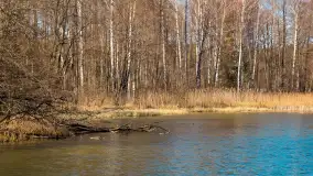 Rezerwat Przyrody Krutynia na wiosennych ujęciach, kwiecień 2025 r. - zdjęcie 10