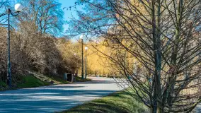 Wiosna w Mrągowie, końcówka marca 2023 r. - zdjęcie 13