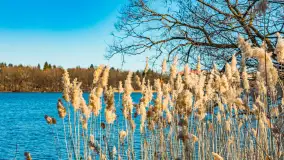 Wiosna w Mrągowie, końcówka marca 2023 r. - zdjęcie 28