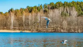 Wiosna w Mrągowie, końcówka marca 2023 r. - zdjęcie 53