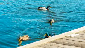 Wiosna w Mrągowie, końcówka marca 2023 r. - zdjęcie 32