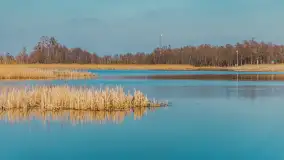 Kanał Grunwaldzki i szukanie wiosny przed sezonem 2025 - zdjęcie 14