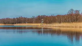 Kanał Grunwaldzki i szukanie wiosny przed sezonem 2025 - zdjęcie 40