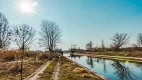 Kanał Grunwaldzki i szukanie wiosny przed sezonem 2025 - zdjęcie 21