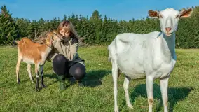 Kremowy smak Mazur – idealny na stół wielkanocny od Chèvre au lait - zdjęcie 7