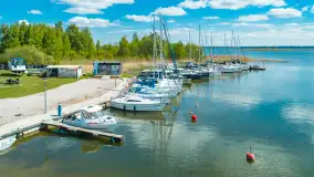 Wilkasy z lotu ptaka w wiosennej scenerii, maj 2025 r. - zdjęcie 6