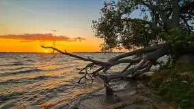 Zachód słońca w Pierkunowie, jezioro Kisajno, czerwiec 2025 r. - zdjęcie 5