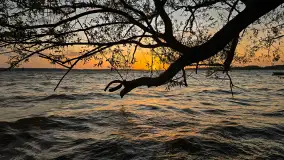 Zachód słońca w Pierkunowie, jezioro Kisajno, czerwiec 2025 r. - zdjęcie 12