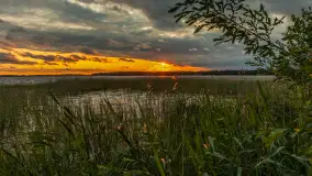 Wietrzny ale jednak zachód słońca w Ogonkach, czerwiec 2025 r. - zdjęcie 2