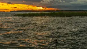 Wietrzny ale jednak zachód słońca w Ogonkach, czerwiec 2025 r. - zdjęcie 24