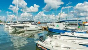 Niedzielny poranek w porcie AZS Wilkasy nad Niegocinem, lipiec 2025 r. - zdjęcie 30