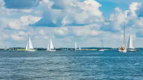 Jezioro Niegocin widziane z Wilkas, lipiec 2025 r. - zdjęcie 17