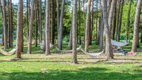 Piękny Brzeg - port dla rodzin z dziećmi, sierpień 2025 r. - zdjęcie 28