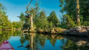 Popołudniowy spływ na Krutyni, sierpień 2025 r. - zdjęcie 16