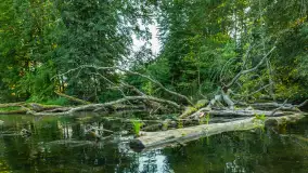 Popołudniowy spływ na Krutyni, sierpień 2025 r. - zdjęcie 32