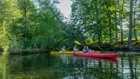 Popołudniowy spływ na Krutyni, sierpień 2025 r. - zdjęcie 15