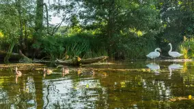 Popołudniowy spływ na Krutyni, sierpień 2025 r. - zdjęcie 66