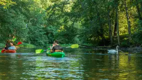 Popołudniowy spływ na Krutyni, sierpień 2025 r. - zdjęcie 68