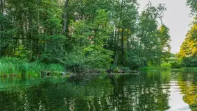 Popołudniowy spływ na Krutyni, sierpień 2025 r. - zdjęcie 65