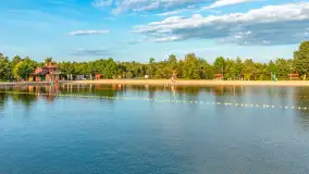 Jezioro Mamry w okolicach Węgorapy, sierpień 2025 r. - zdjęcie 18