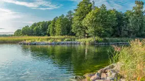 Jezioro Mamry w okolicach Węgorapy, sierpień 2025 r. - zdjęcie 5