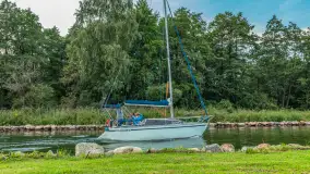 Jezioro Mamry w okolicach Węgorapy, sierpień 2025 r. - zdjęcie 20